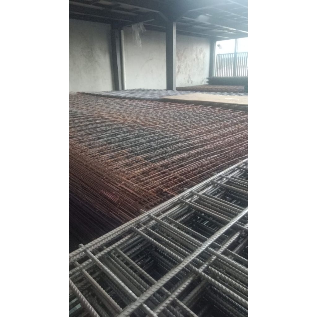 wermes 10mm. wiremesh 10mm full