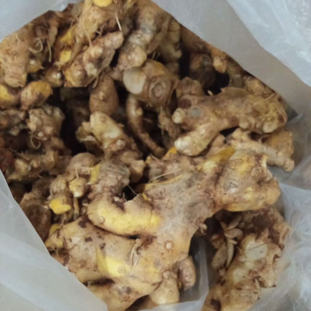 

panglai bangle 1kg segar sudah cuci #rempah #herbal #panglaibangle