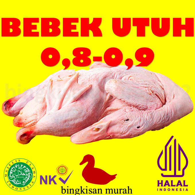 

BEBEK UTUH UKURAN 0,8-0,9 KG