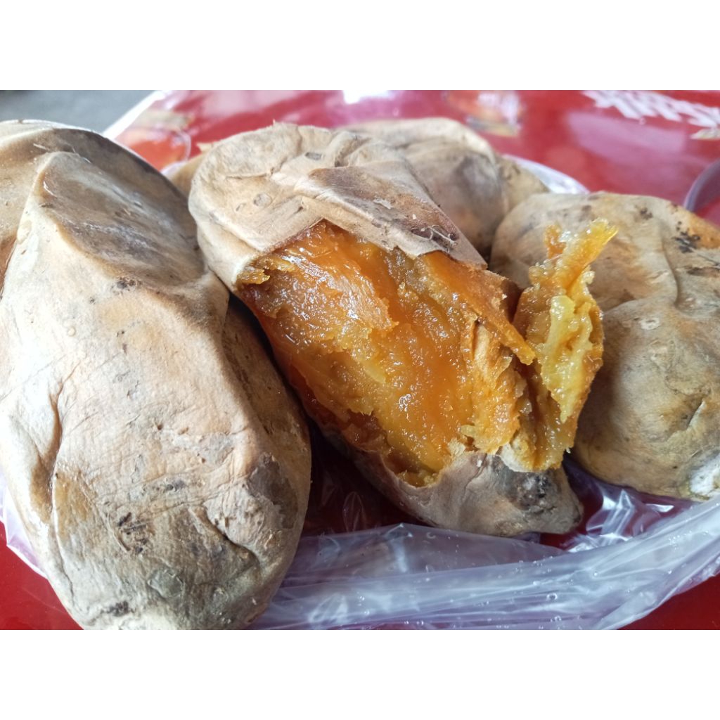 

ubi madu Cilembu, ubi bakar 1kg