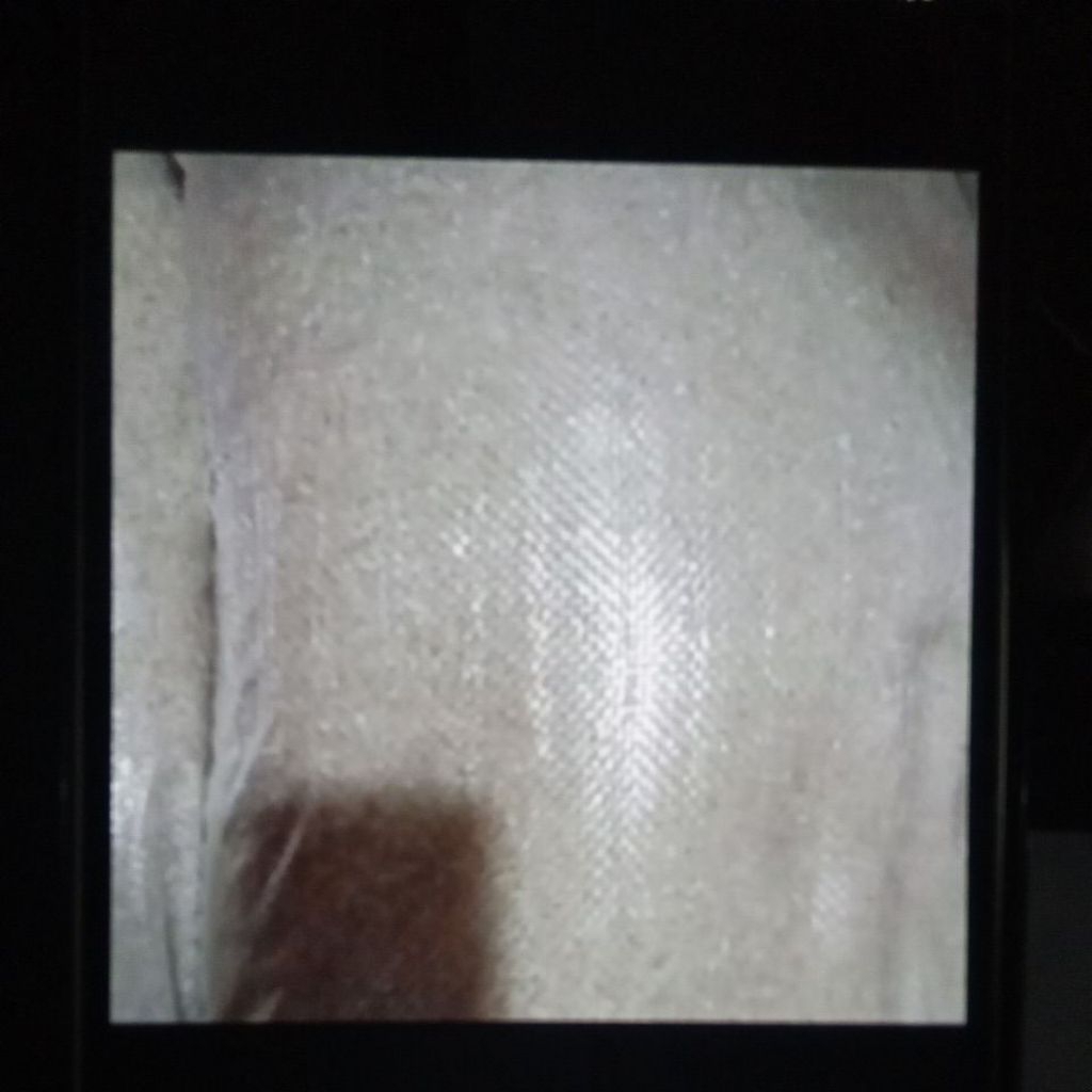 

beras medium setara oke dan raja biru