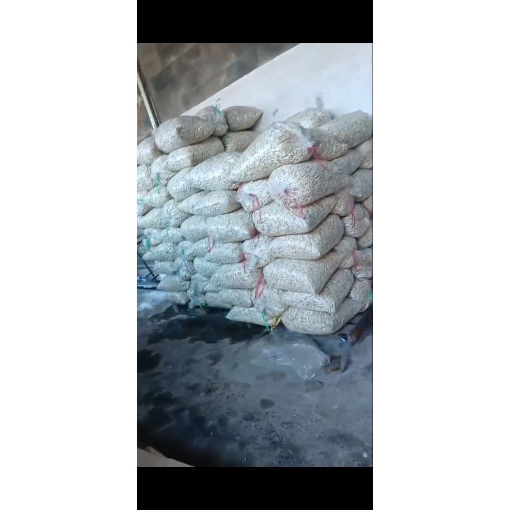 

BASRENG ORIGINAL & PEDAS DAUN JERUK 10KG