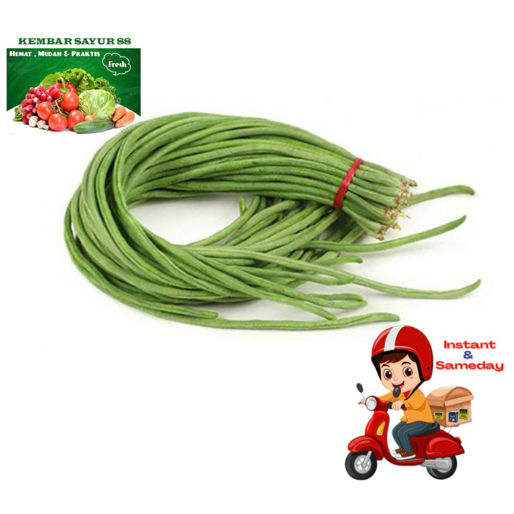 

Kacang Panjang - kembarsayur88