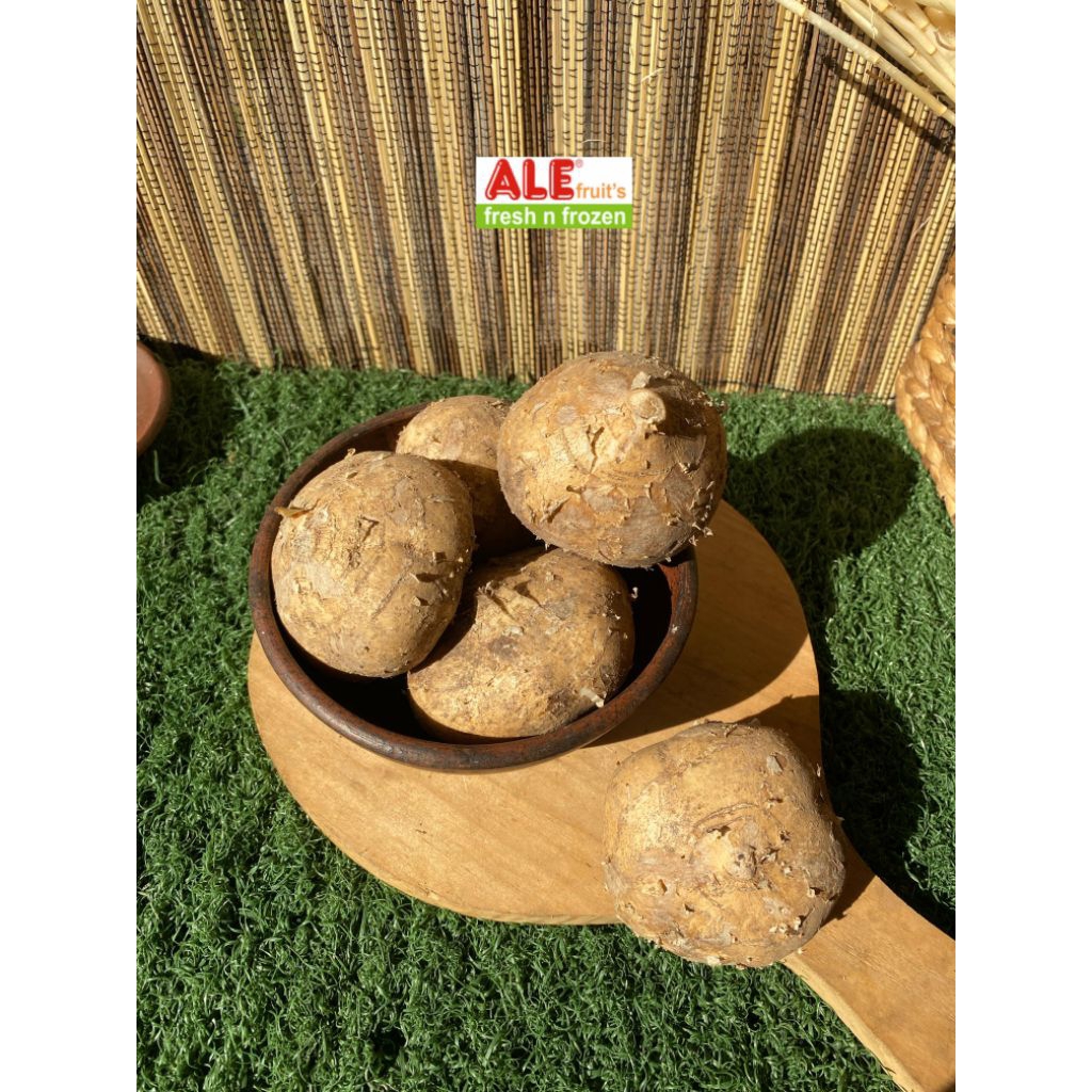 Bengkoang fresh, buah bengkoang segar, buah bengkoang