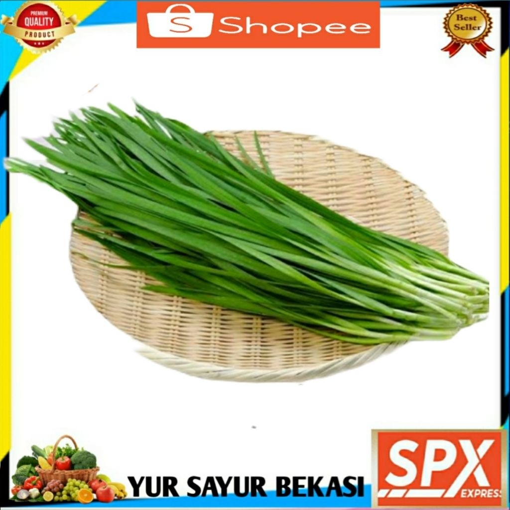 

Kucai Segaarr Per ikat