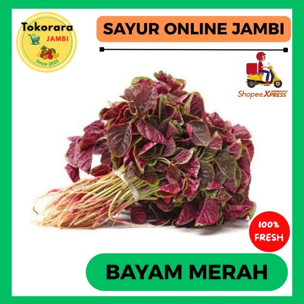 

KIRIM INSTAN Bayam merah per ikat-tokorara.jambi