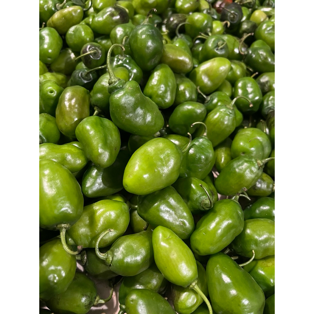 

cabe gendot viral 1kg