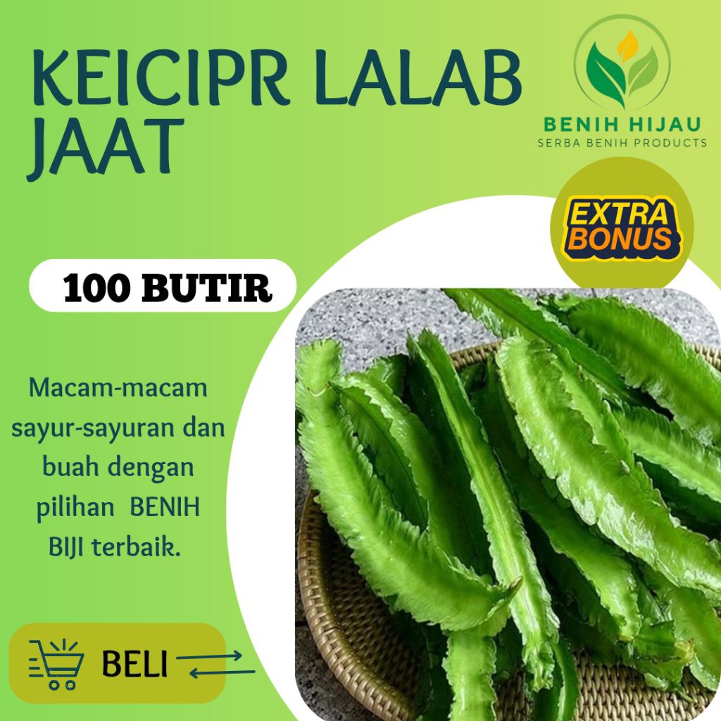 benih kecipir lalap 100 butir benih biji