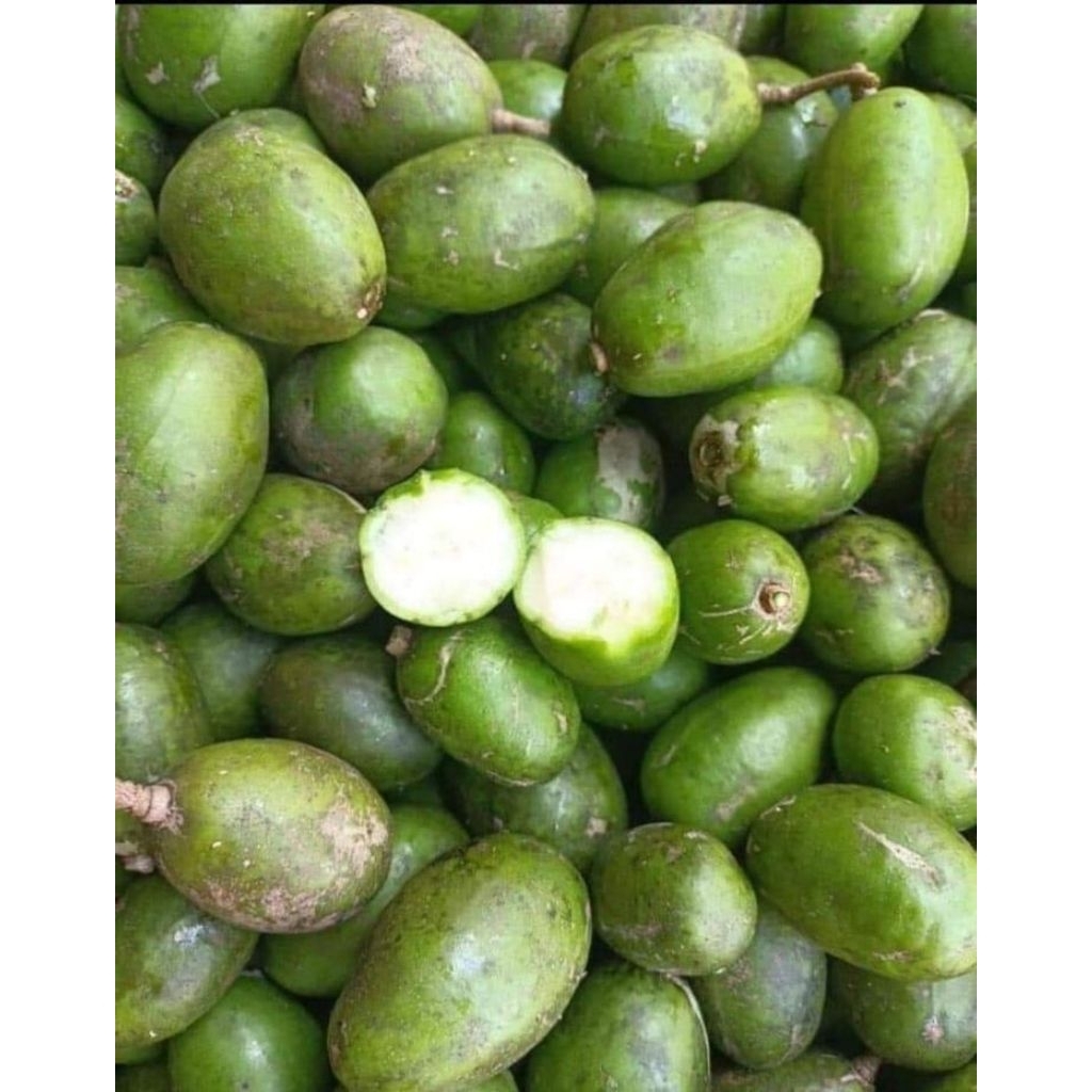 

Kedondong muda fress