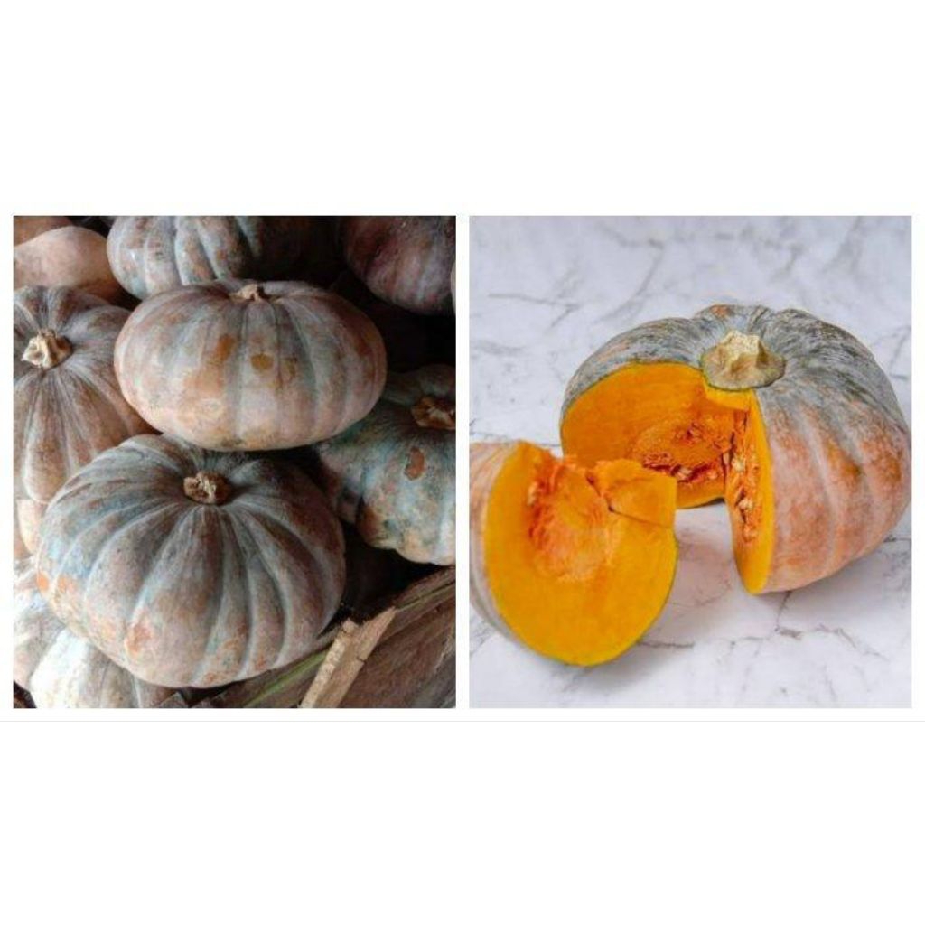 

waluh kuning labu kuning 1buah (-+)2kg-3kg