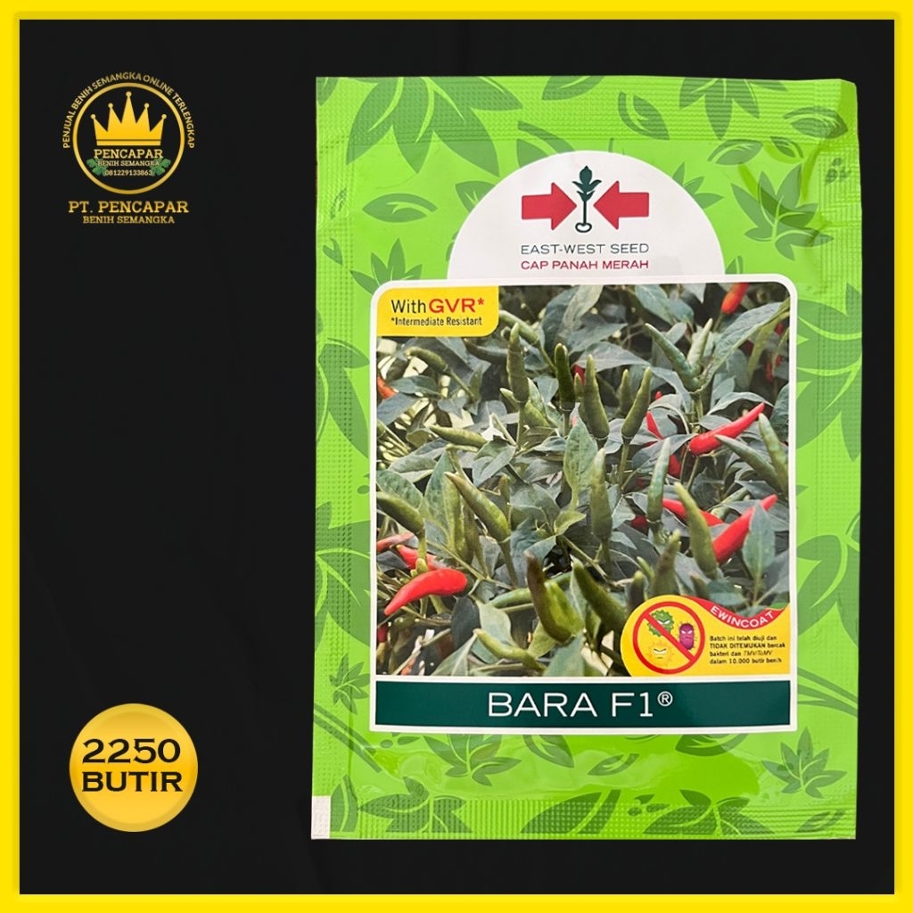 bibit cabe BARA F1