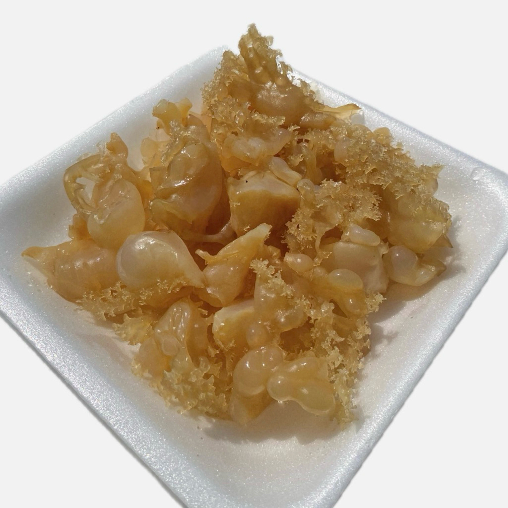 

Xtra Ubur-Ubur (Matang Siap Makan)