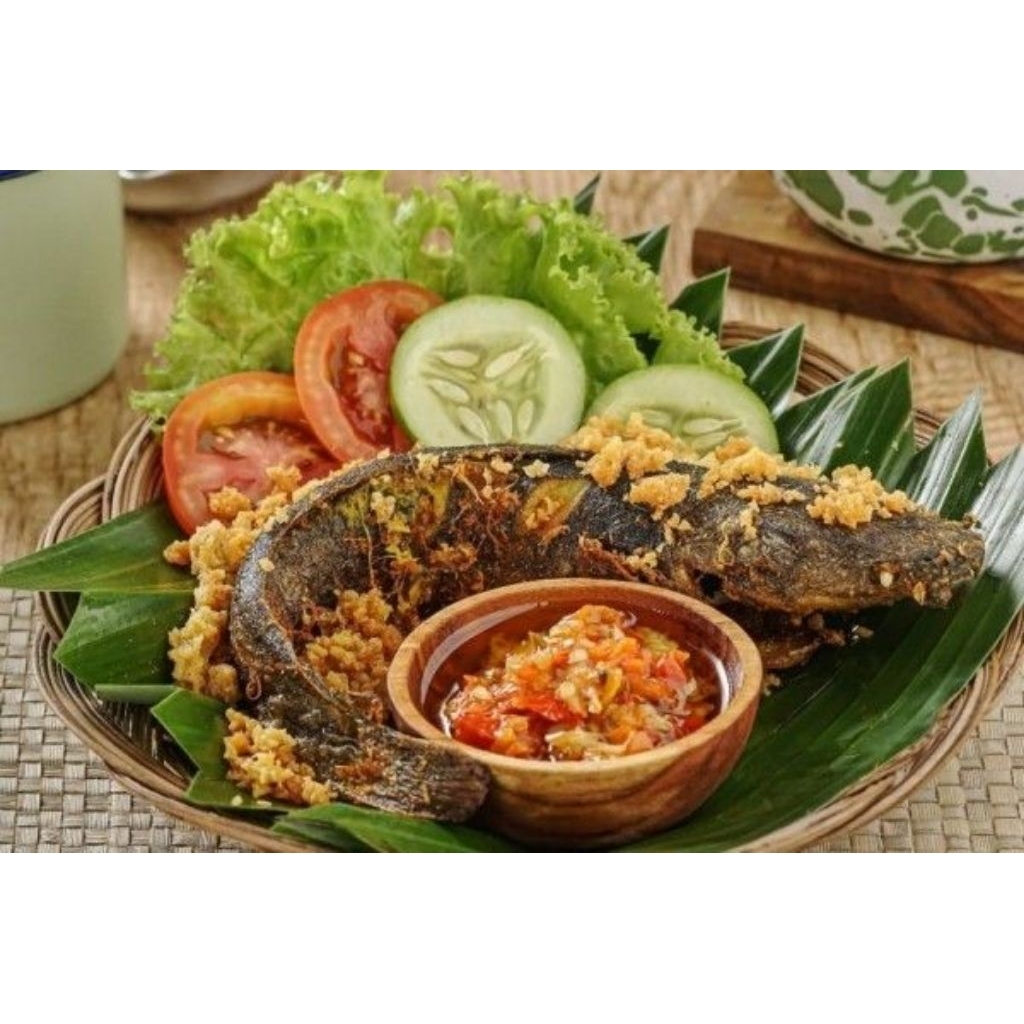 

Lele Goreng Tanpa Nasi