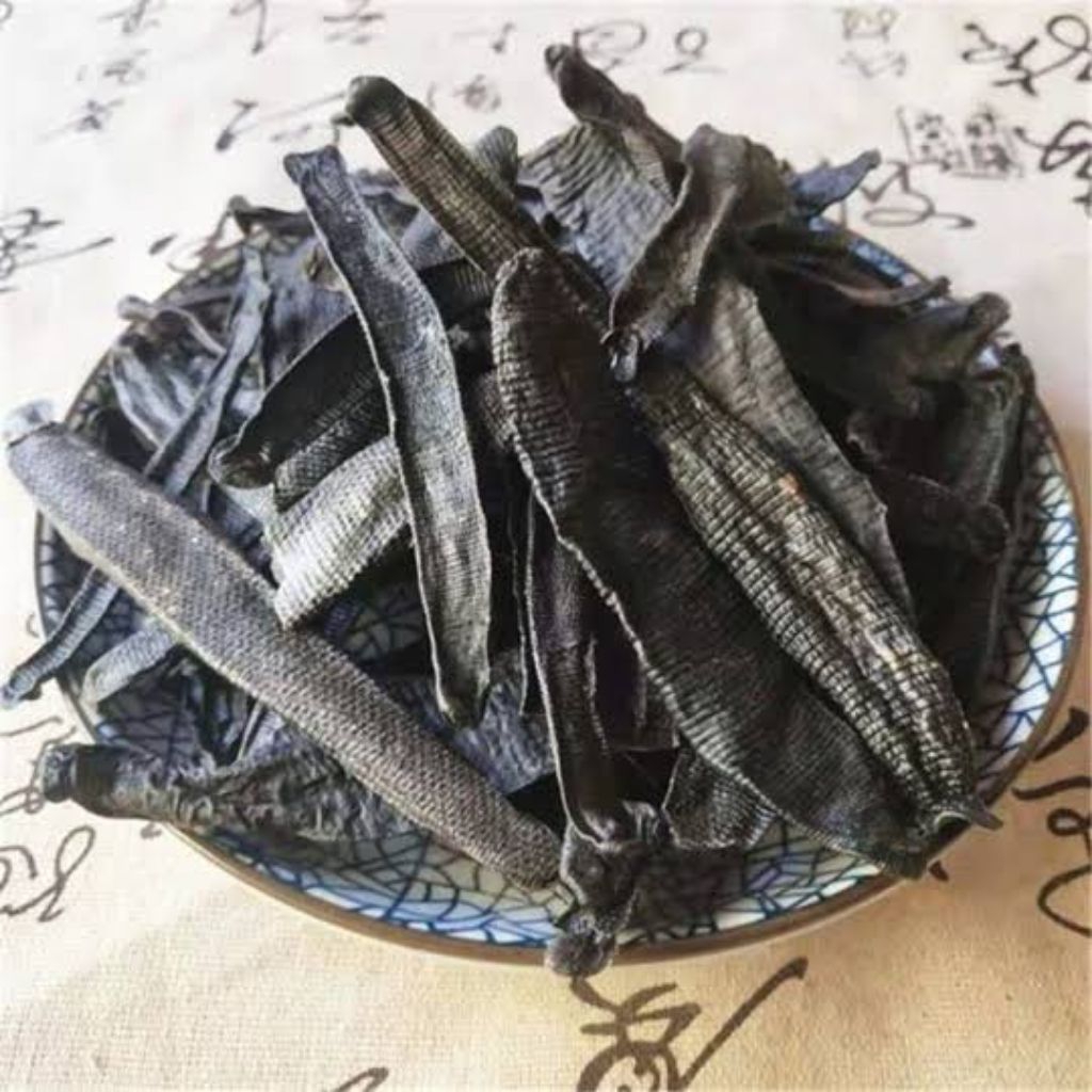 Shui Zhi Chong/Hirudo medicinalis/Lintah Kering