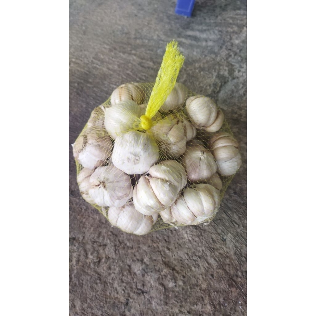 

bawang wungkul murah 1kg