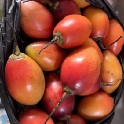 

Terong Belanda 100 gr VIRAL Kori Buah Unik