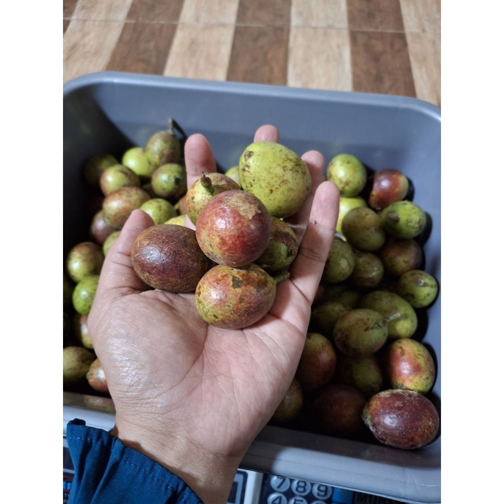 

Buah Matoa Manis Segar