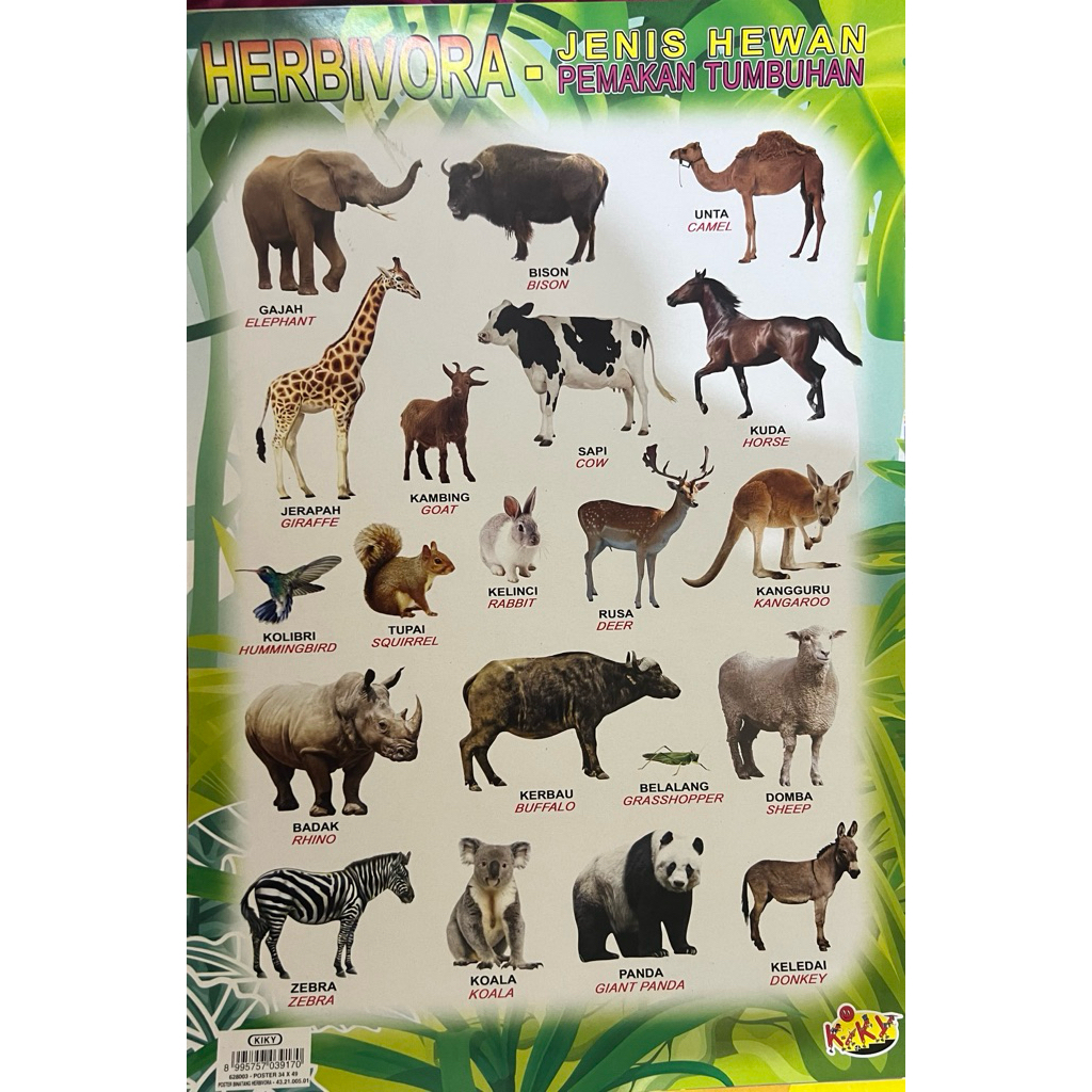 Poster Edukasi Anak Gambar Hewan Pemakan Tumbuhan (Herbivora)