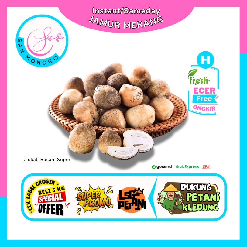 

Sanmonggoo >> Jamur Merang Super -- Hasil Bumi Sindoro Sumbing Ecer (H)