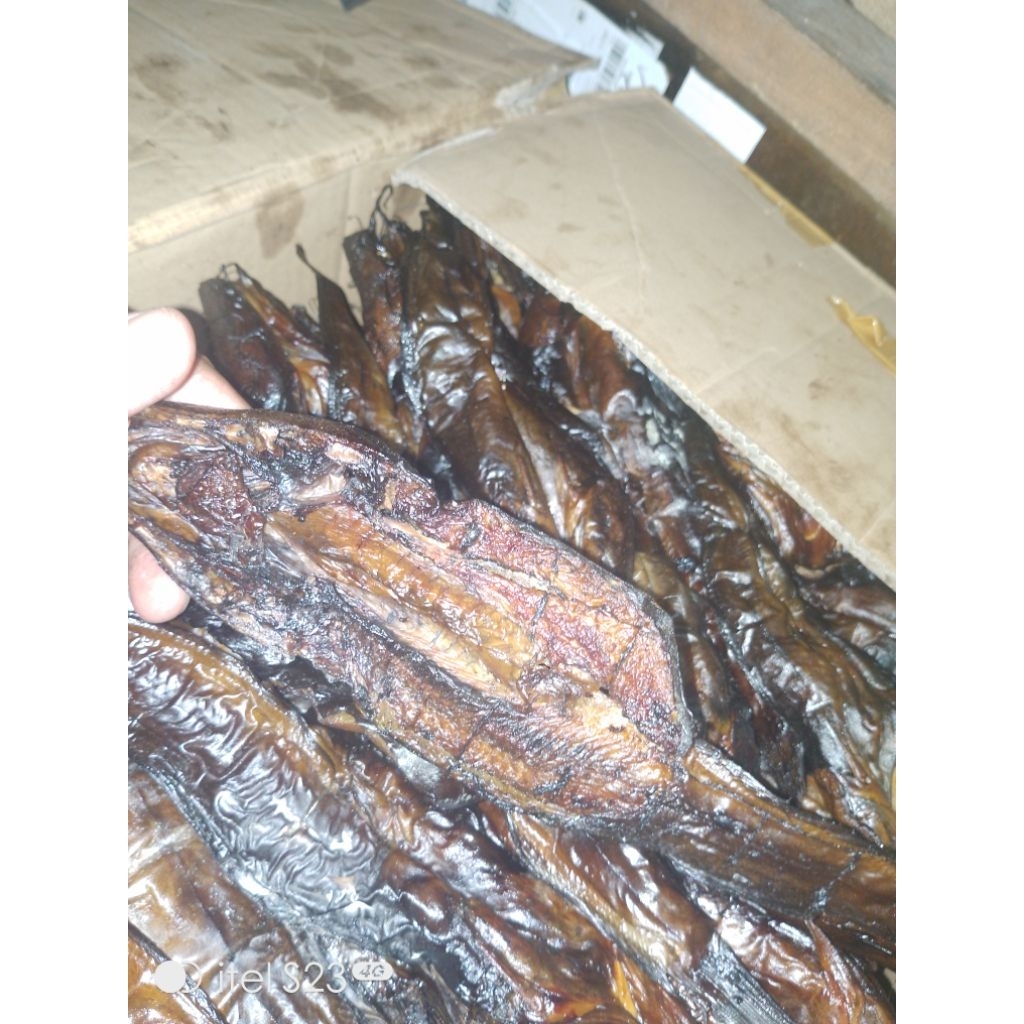 

IKAN SALAI LELE KERING BERKUALITAS PREMIUM