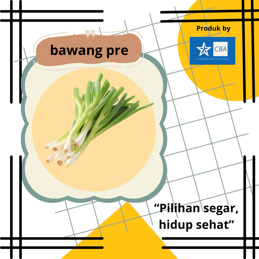 

Bawang Prei Segar – Fresh Leek Harian Masak Lebih Wangi Siap kirim!