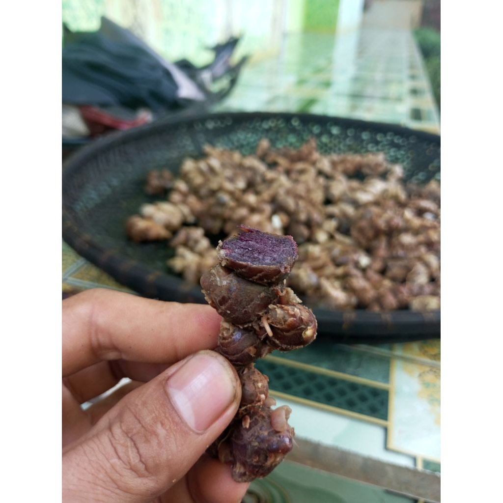 

kunyit Hitam thailand 1000 gram