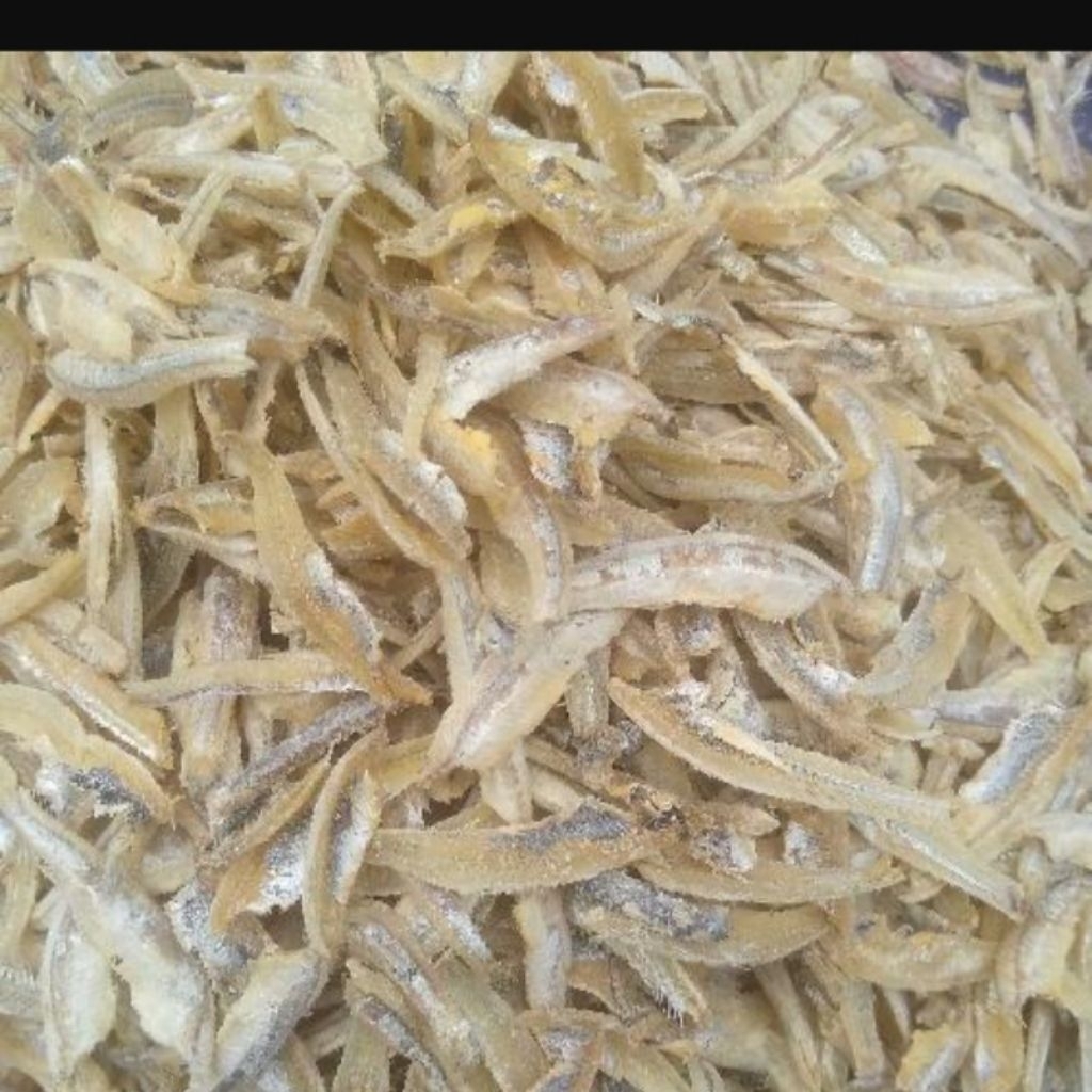 

ikan teri belah /jengki