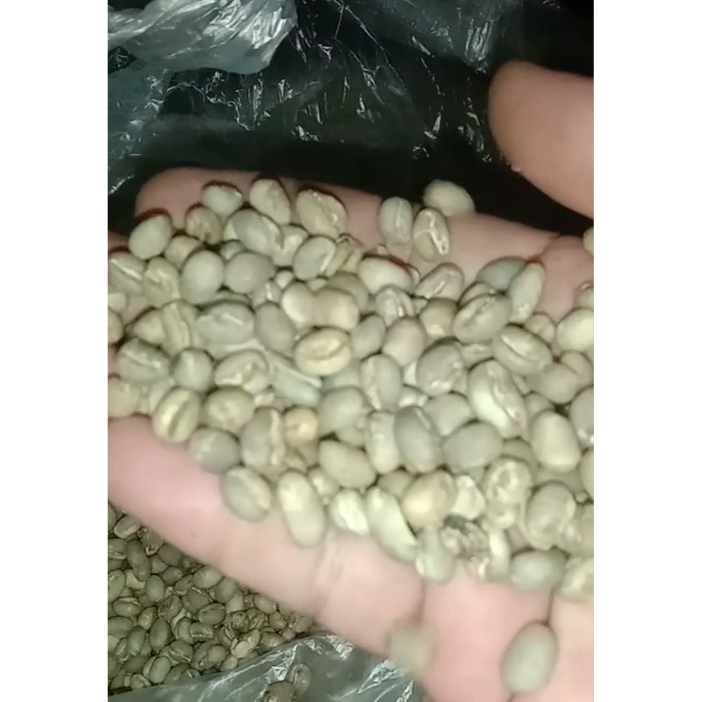 

greenBean/robusta