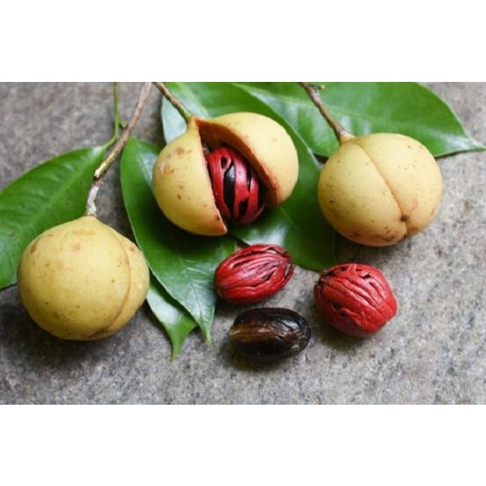 

Buah Pala Utuh Segar Mentah 1 kg/buah pala termurah/rempah rempah