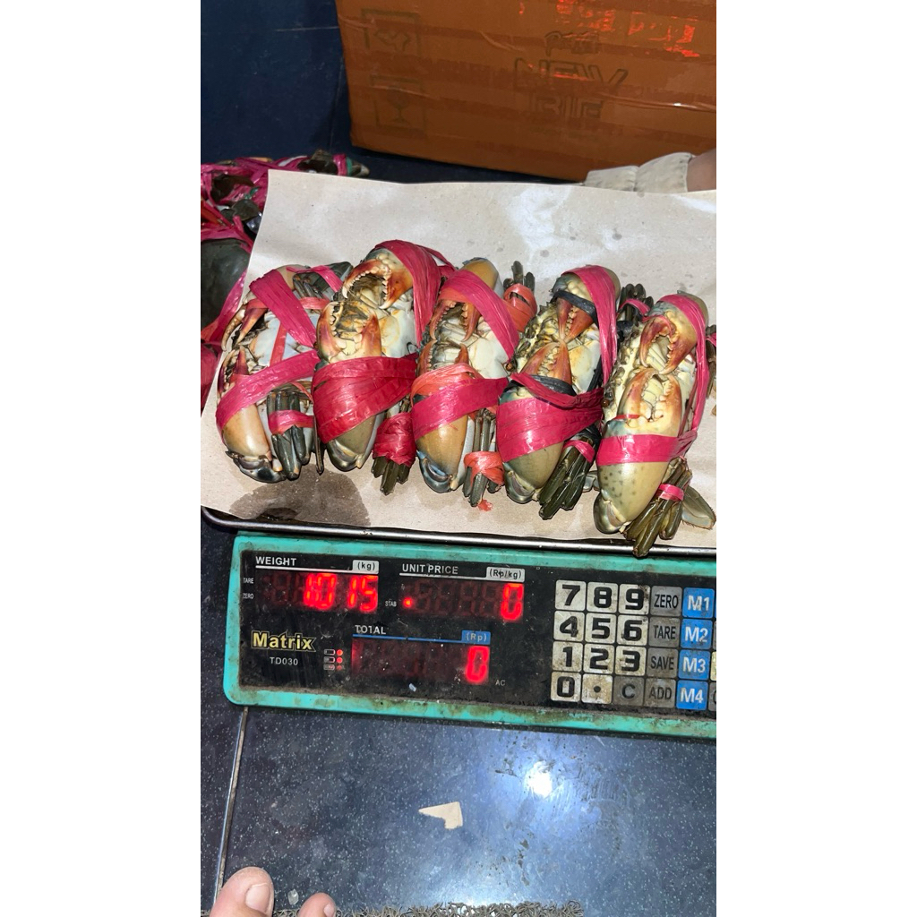 

Kepiting Jantan sp3 eksport 200gr Padat 1kg