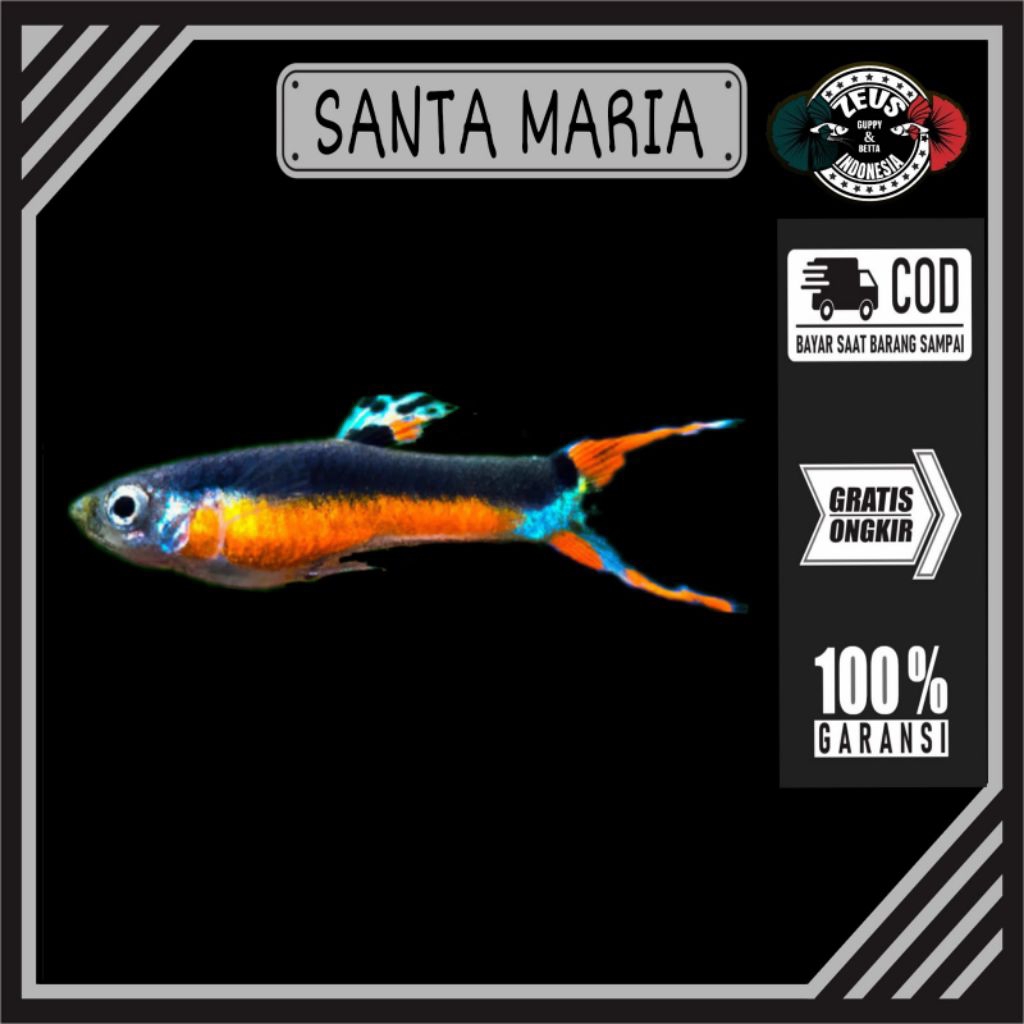 

Stiker Santa Maria