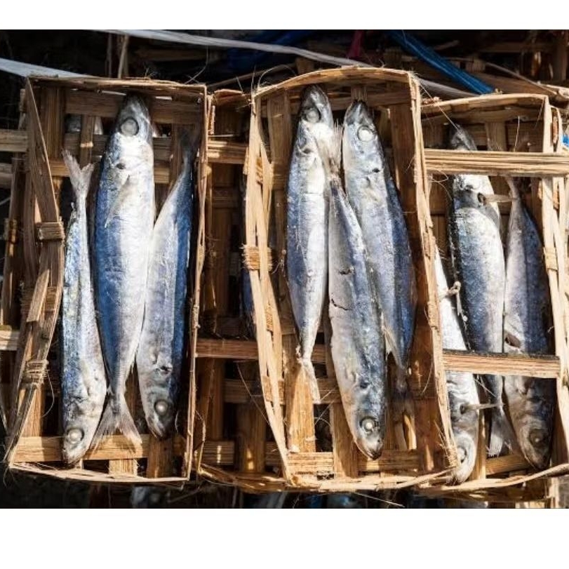 

IKAN PINDANG SEDANG BESEK FRESH