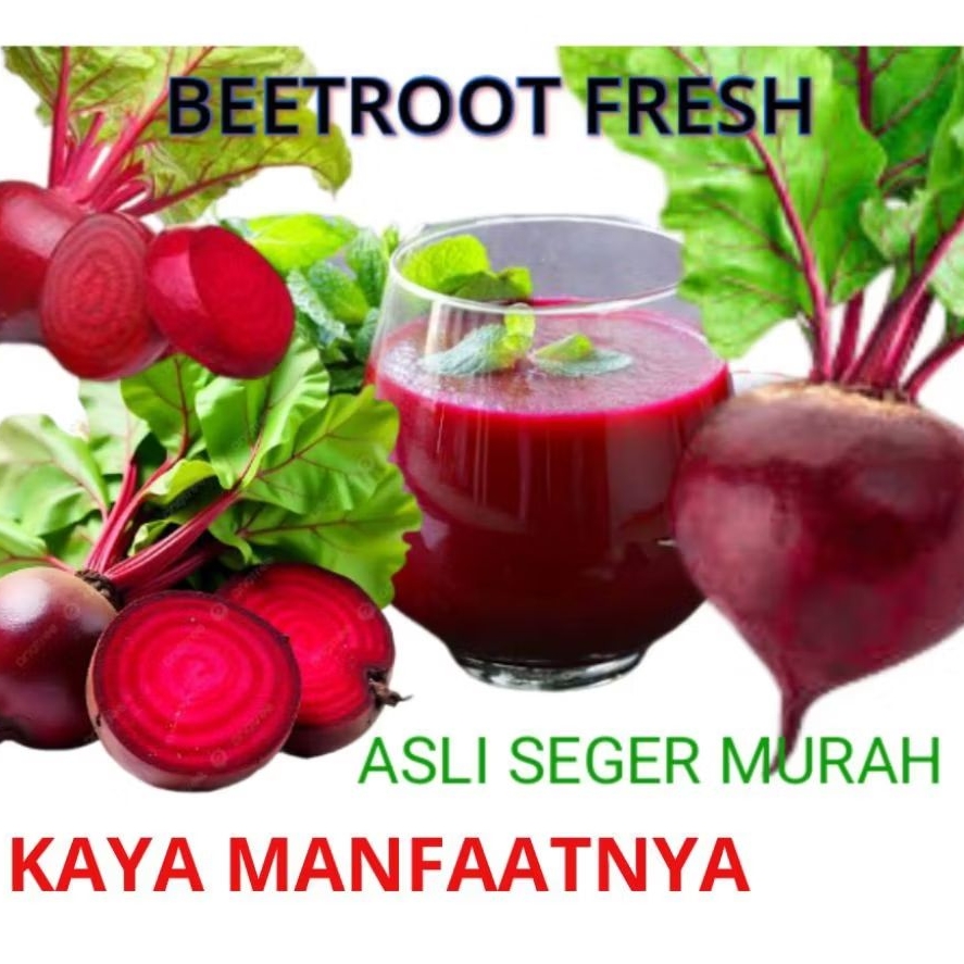 

Beet Root Fresh 1kg - Biji Wortel Segar Langsung Dari Hasil Panen Kualitas Terjamin Cocok Untuk Minuman Jus Herbal Penambah HB Meningkatkan Daya Tubuh Bagus Untuk Ibu Baru Melahirkan