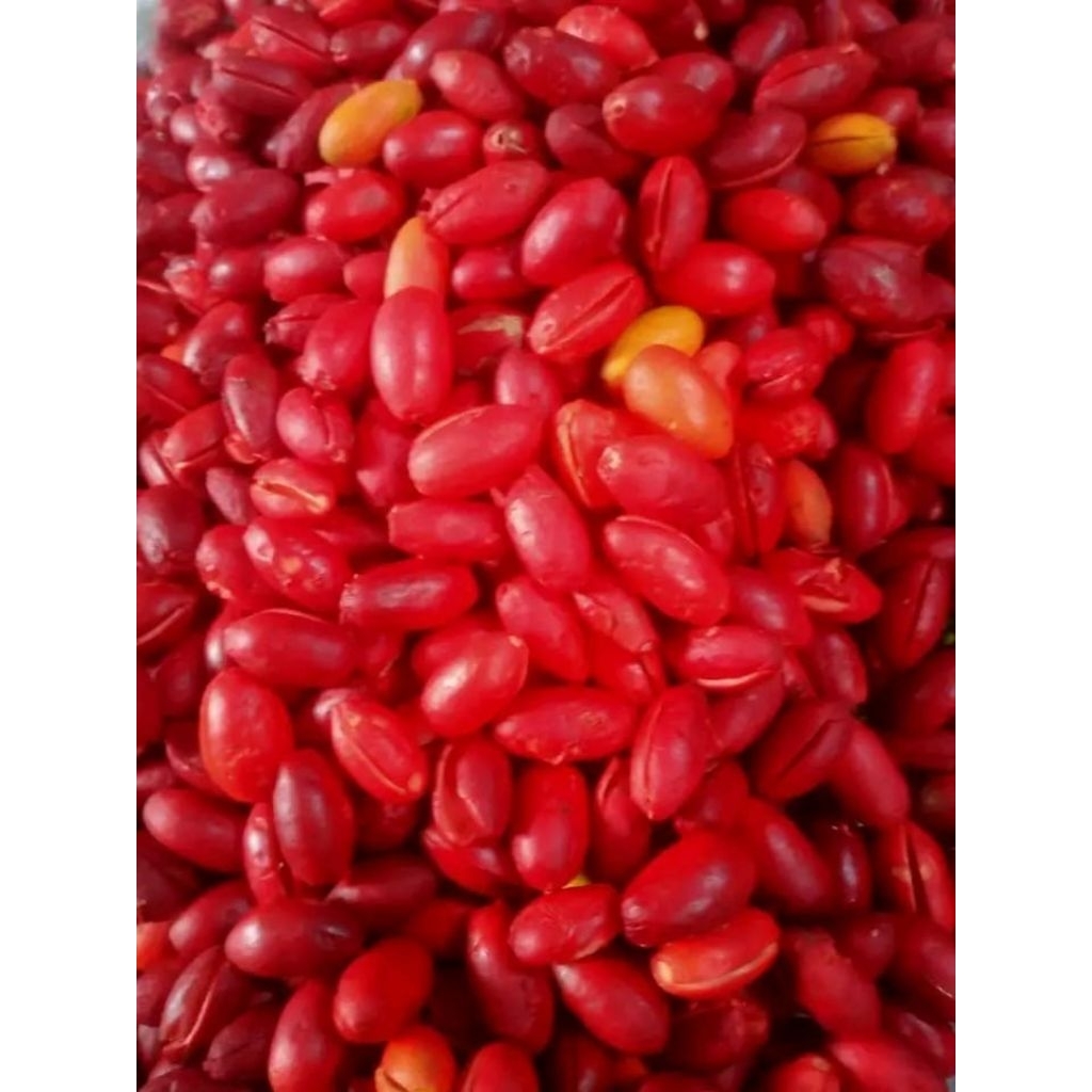 

1 KG KULIT MELINJO MERAH MERONA TERMURAH, SIAP MASAK!!!!