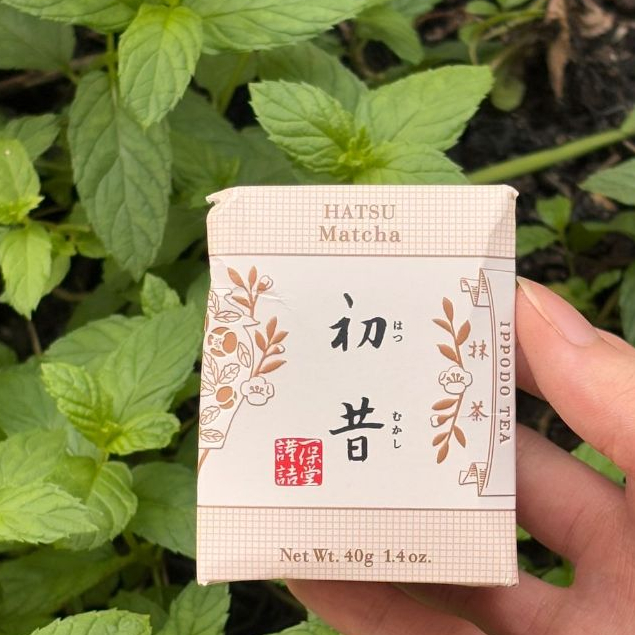 

[READY] IPPODO MATCHA Hatsu-mukashi 40g Box DISKON