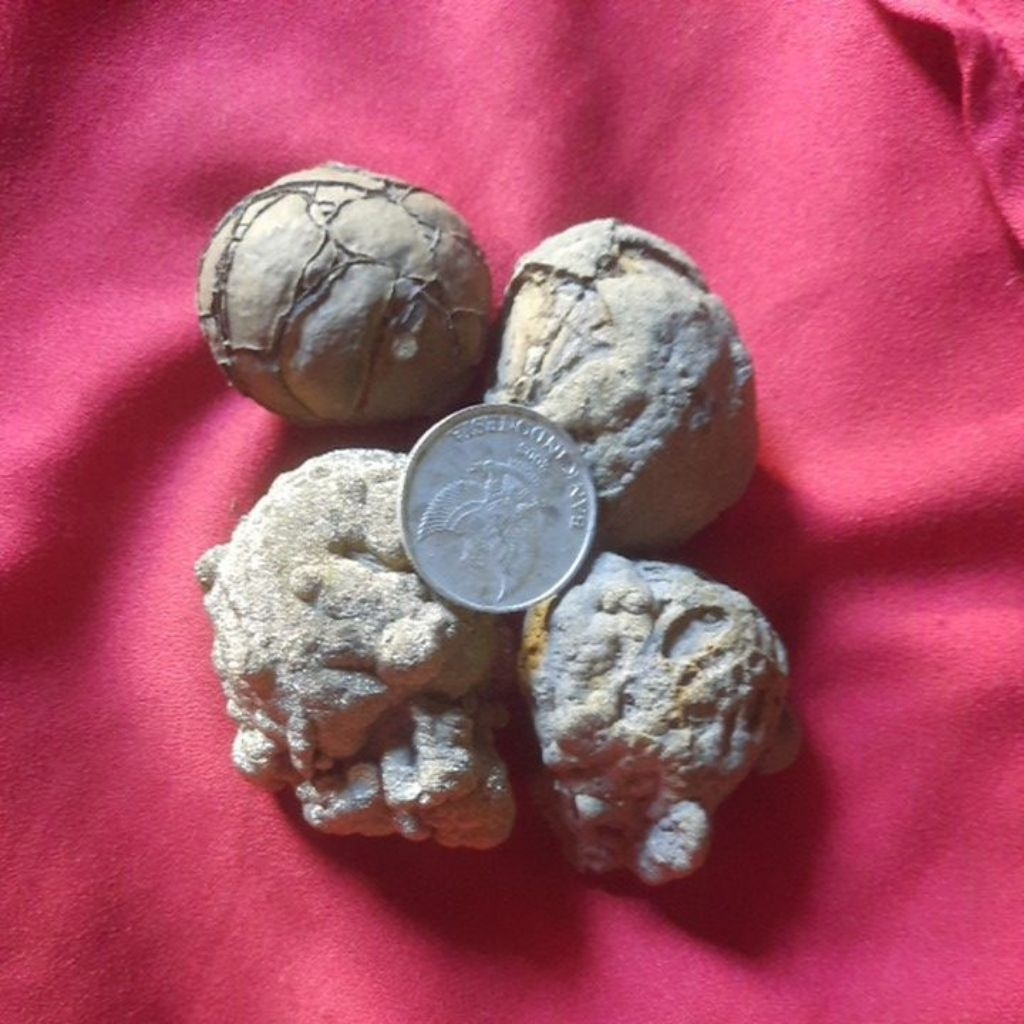 JOLO SUTRO SERAT SUPER, JUMBO