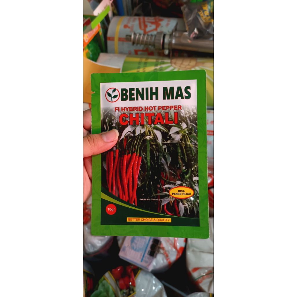 

cabe keriting chitali f1 original