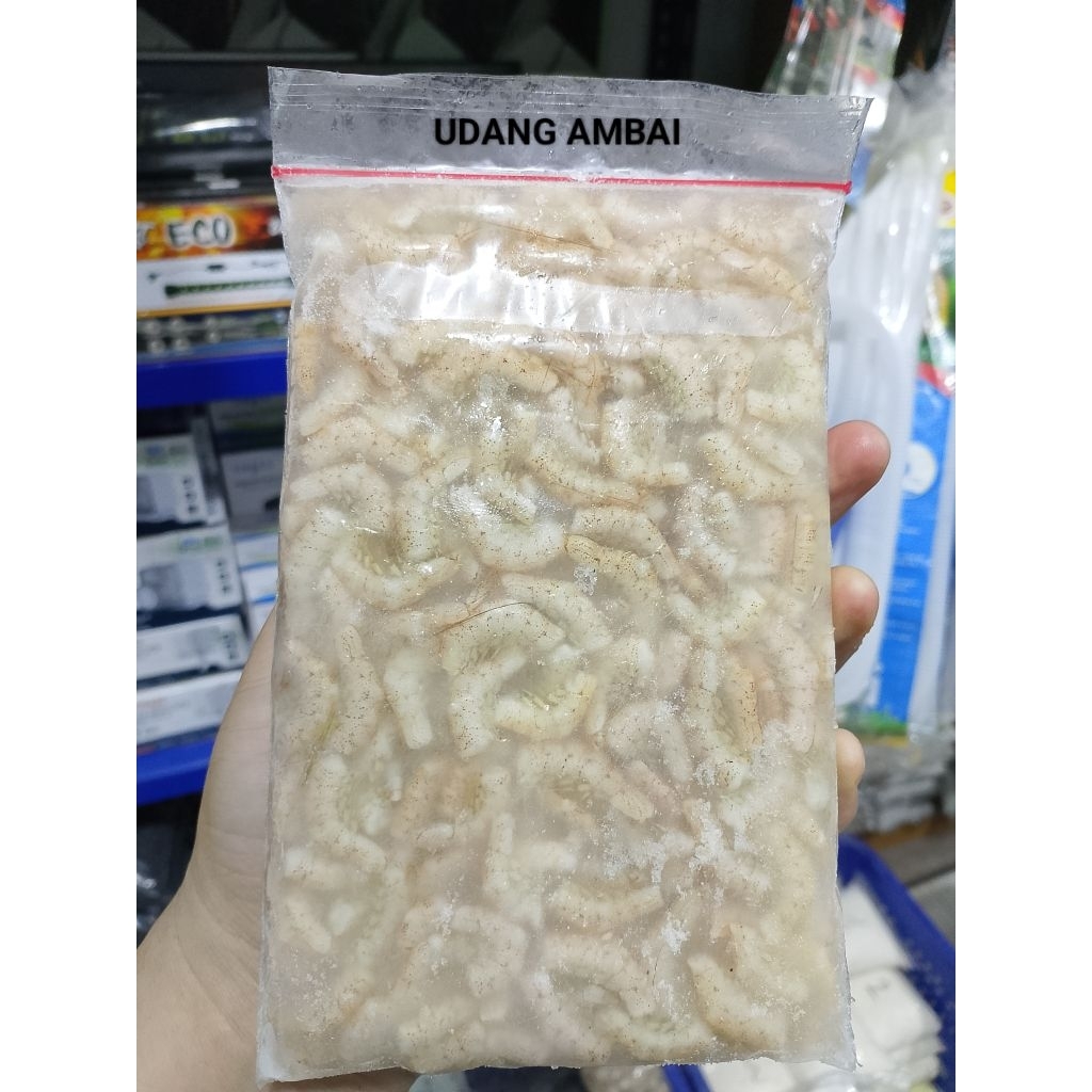 UDANG AMBAI BEKU // PAKAN IKAN ARWANA SUPER RED // MEMPERCEPAT WARNA MERAH