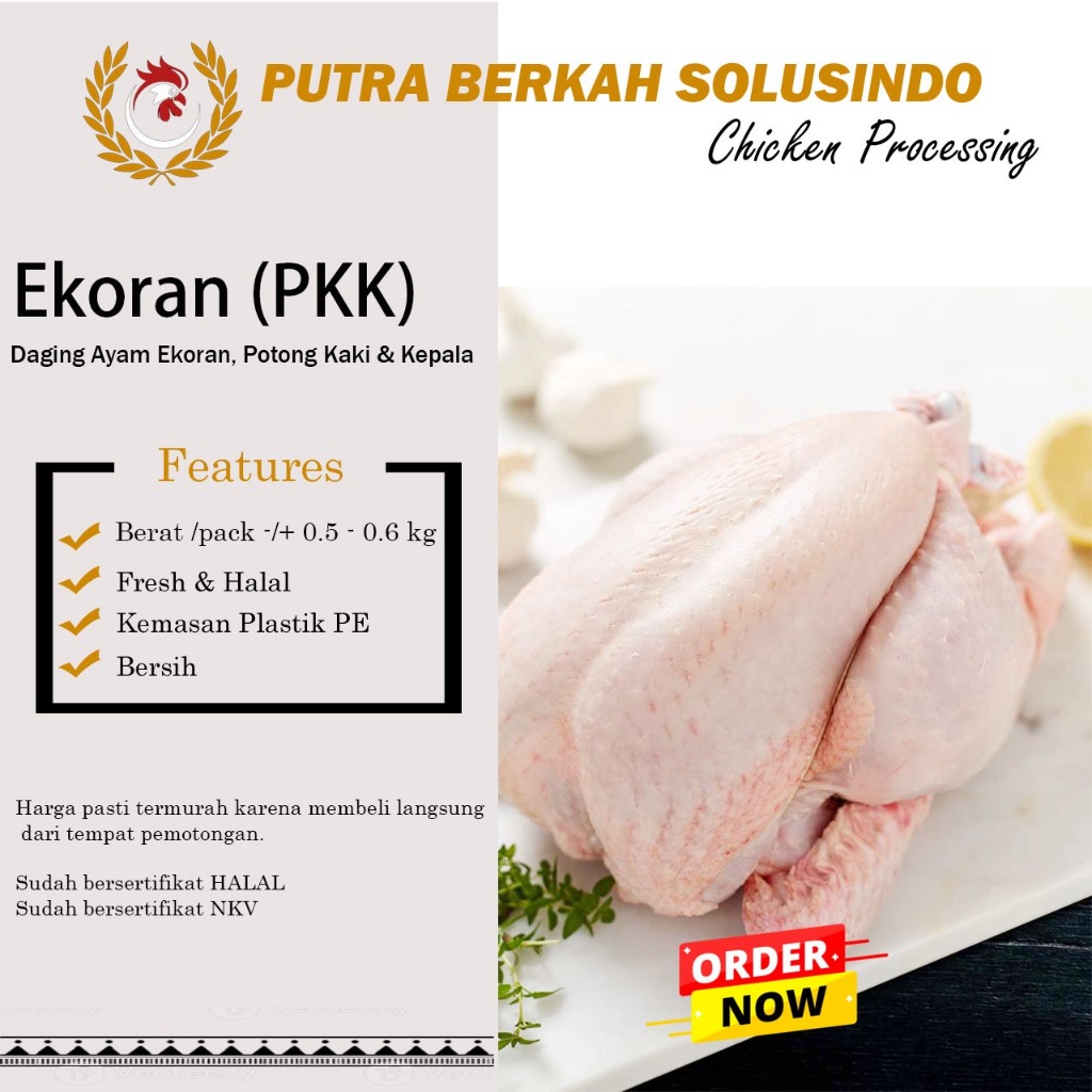 

TERMURAH Ayam Karkas 0,5 sampai 0,6 Kg / Ekor