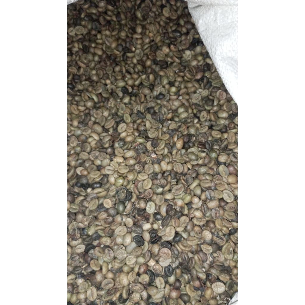 

kopi robusta asli pati 1kg