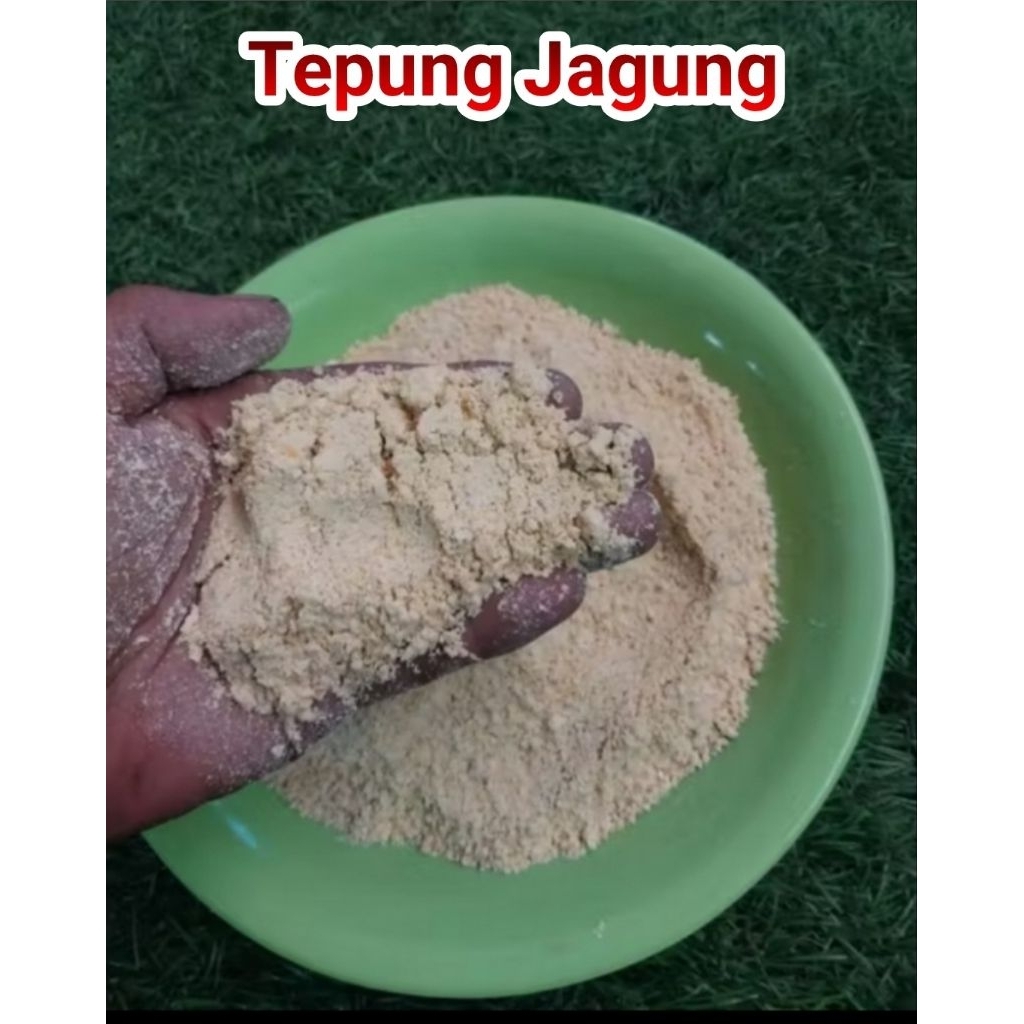 Tepung jagung dedak jagung jagung halus pakan ternak unggas ayam bebek burung