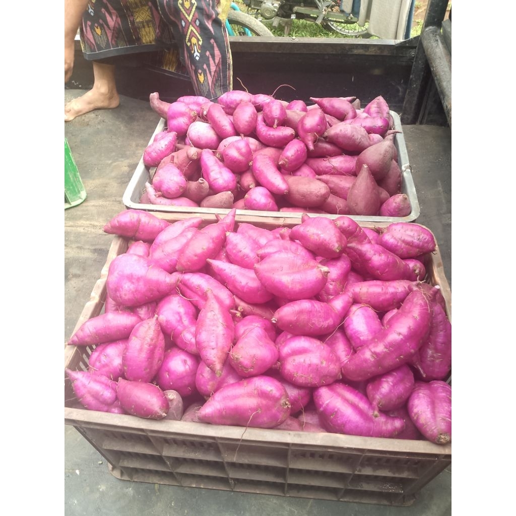 

UBI UNGU SUPER 1KG COD