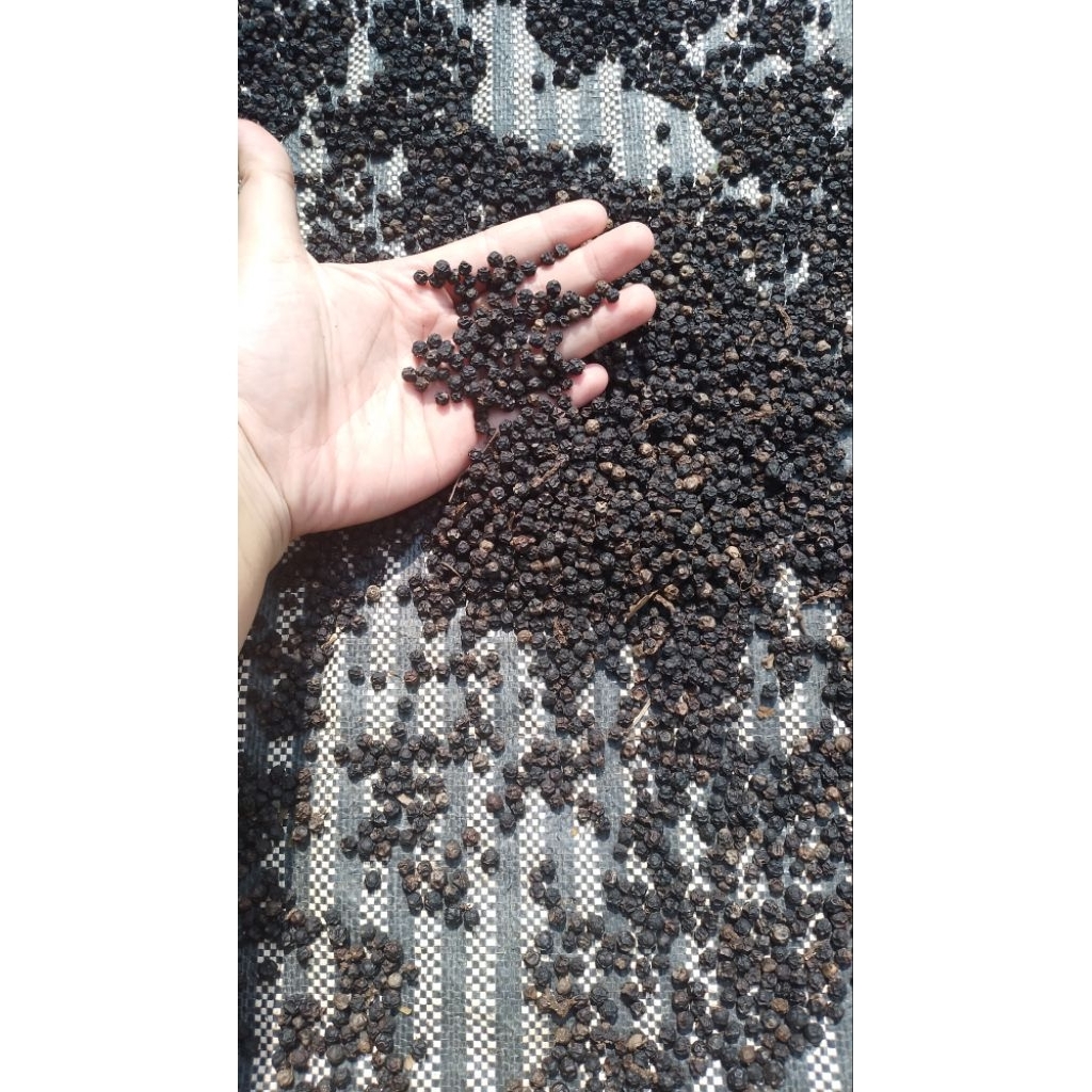 

Lada hitam biji utuh Original 100%