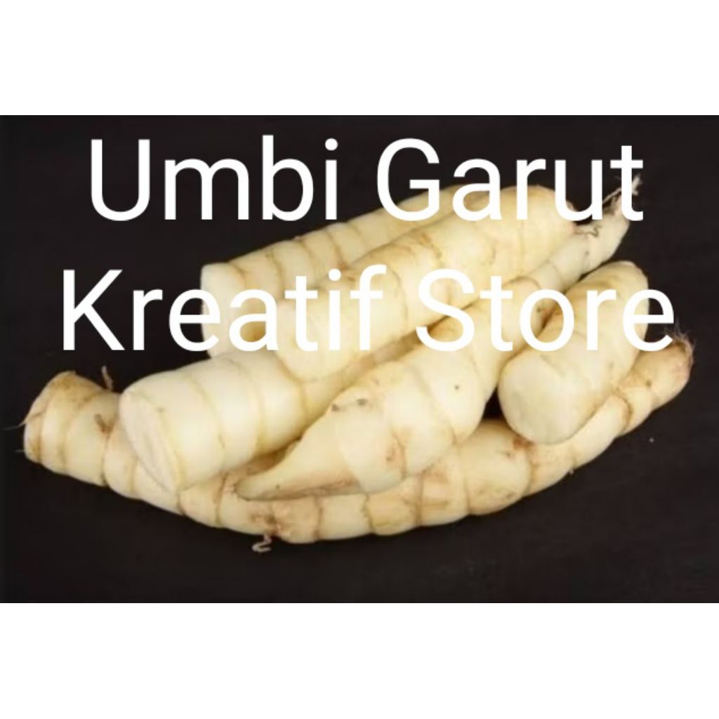 

Umbi Garut Segar / Tarigu Fresh Kaya akan vitamin "kreatif store