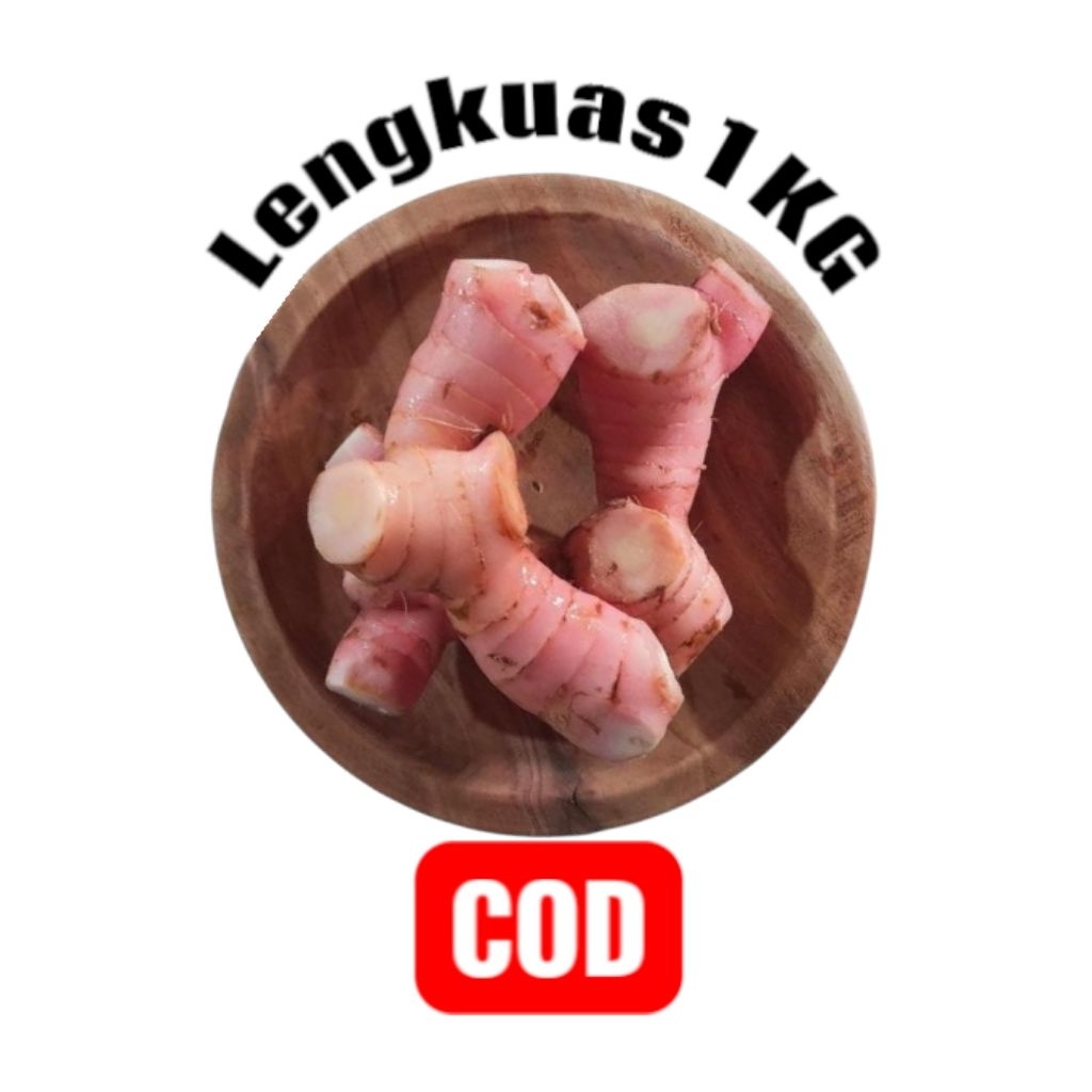 

Lengkoas Seger fresh 1 KG Bumbu Penyedap Masakan