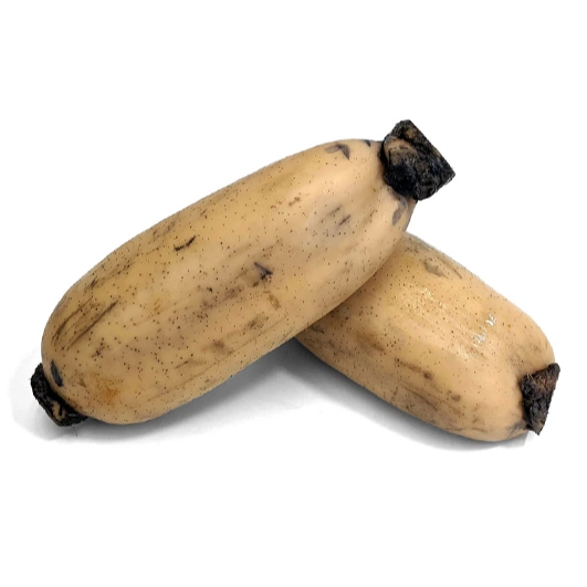 

Akar Teratai Utuh / Lotus Root / Lotus Utuh / Lotus Utuh / Akar Teratai Segar / Fresh Lotus Root / 10 Kg / Box