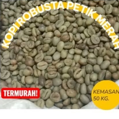 

50 KG KOPI ROBUSTA PETIK MERAH WANGI KHAS KOPI