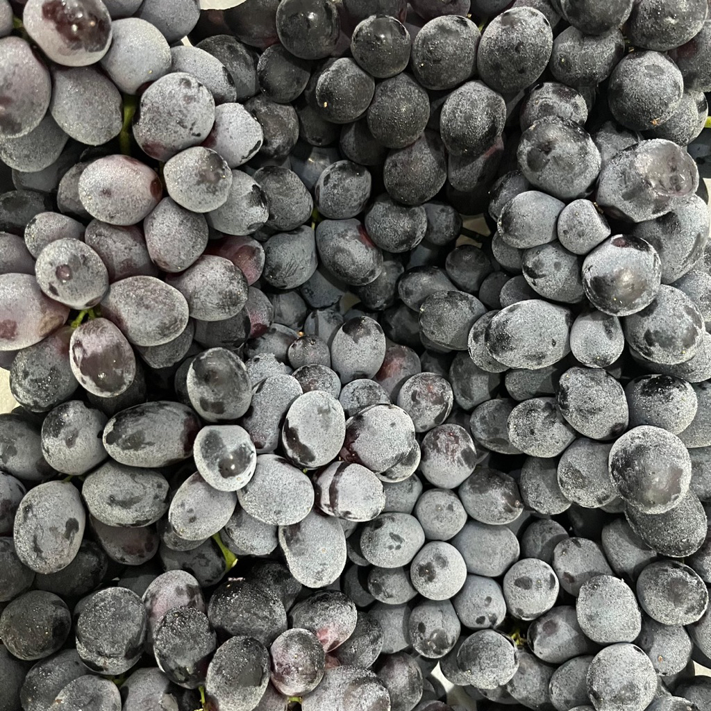 

ANGGUR HITAM AUTUMN RRC MANIS | Grape Fruit Buah