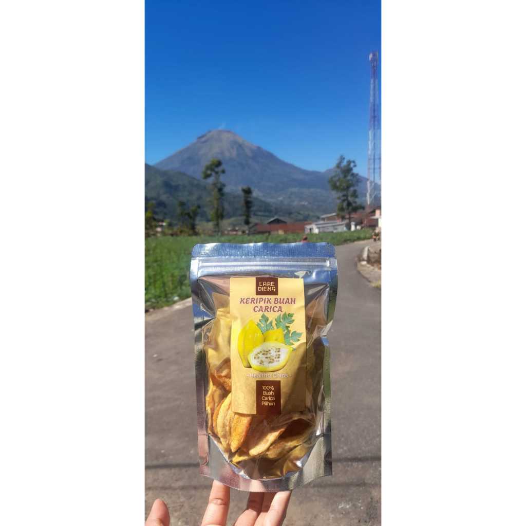 

Keripik Buah Carica Oleh-oleh Dieng Wonosobo