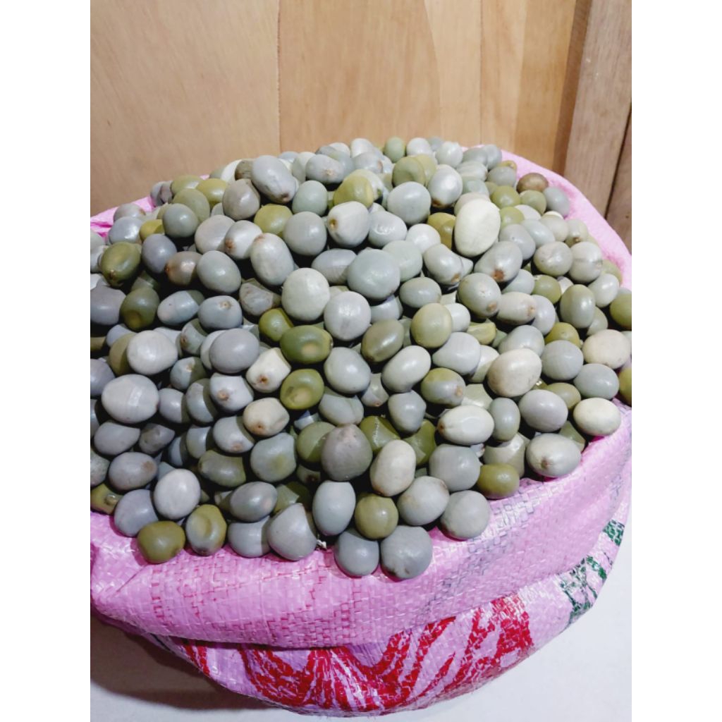 

1 kilo kwalitas kecil buah kebiul biji gorek biji paring